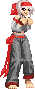 11829.png