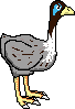 19748.png
